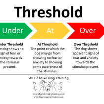 threshold