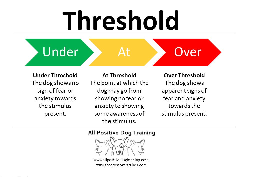 Threshold [1981]