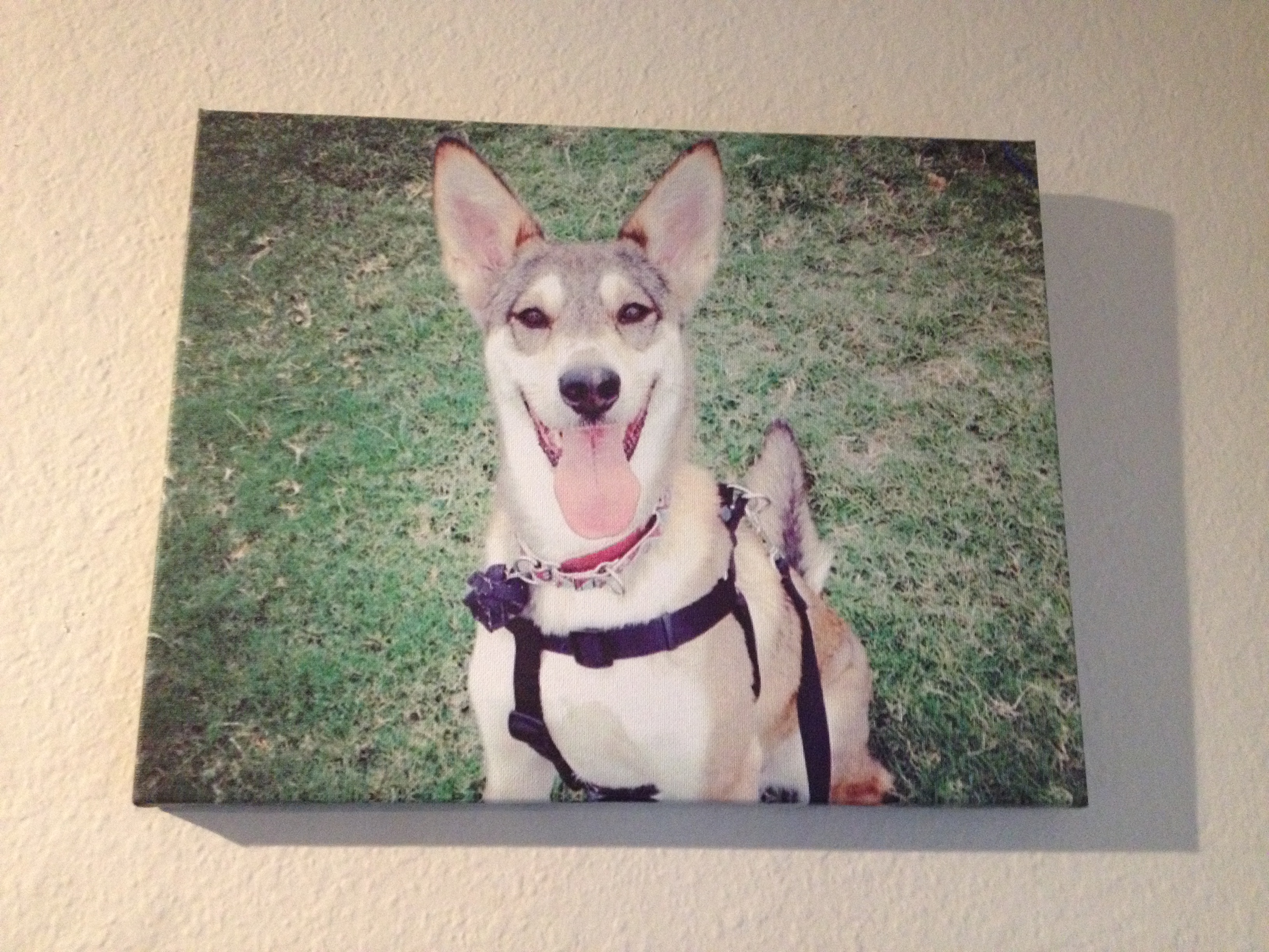 Beautiful canvas print by Printcopia!