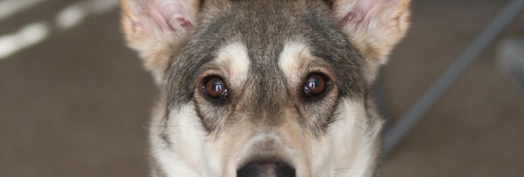 IMG_3827