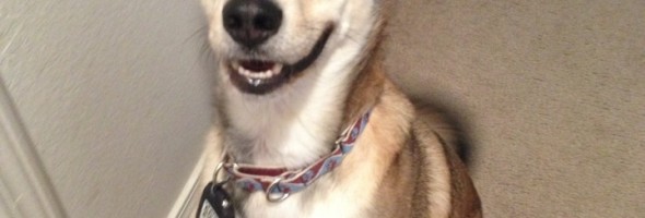 smile