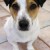 A Whole Different View
