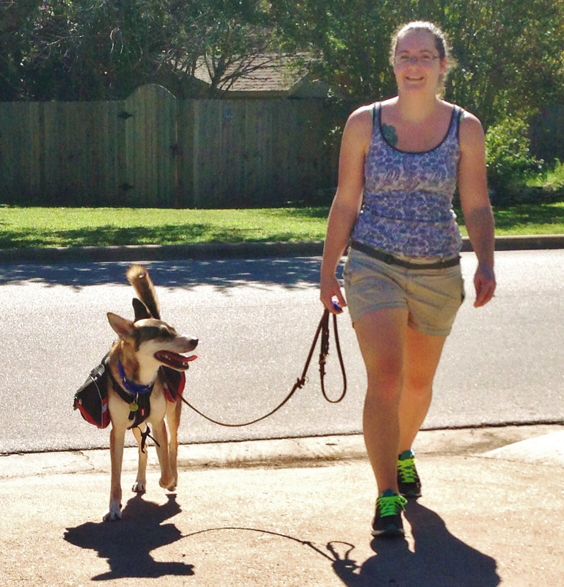 loose leash walk training