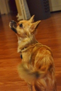 20131014-134907.jpg