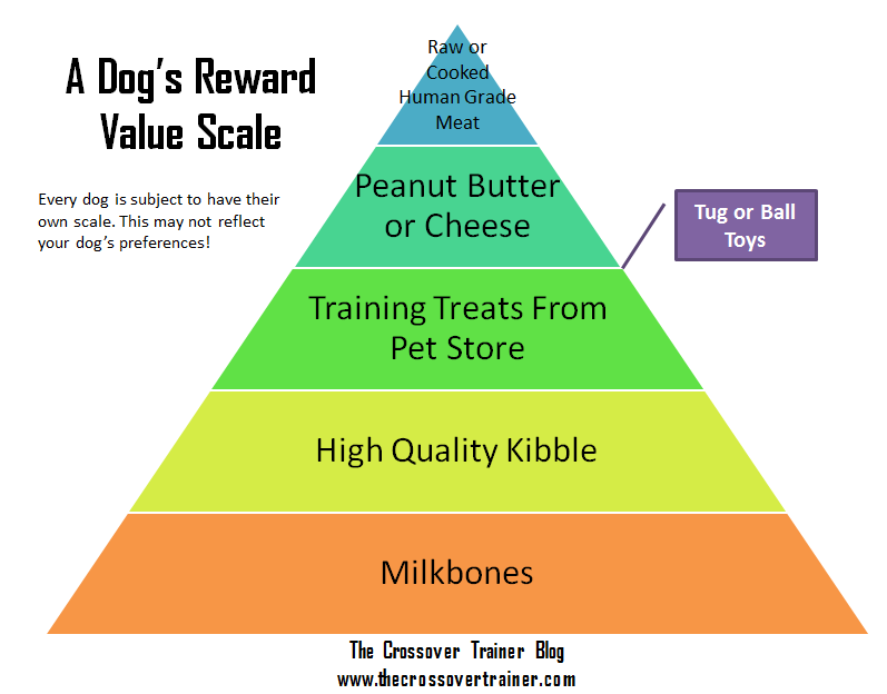 Dog Reward Value Scale